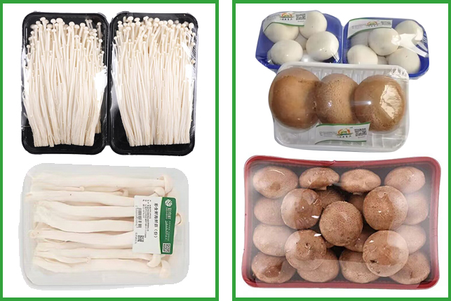 1676448247189038.png 樣品.png